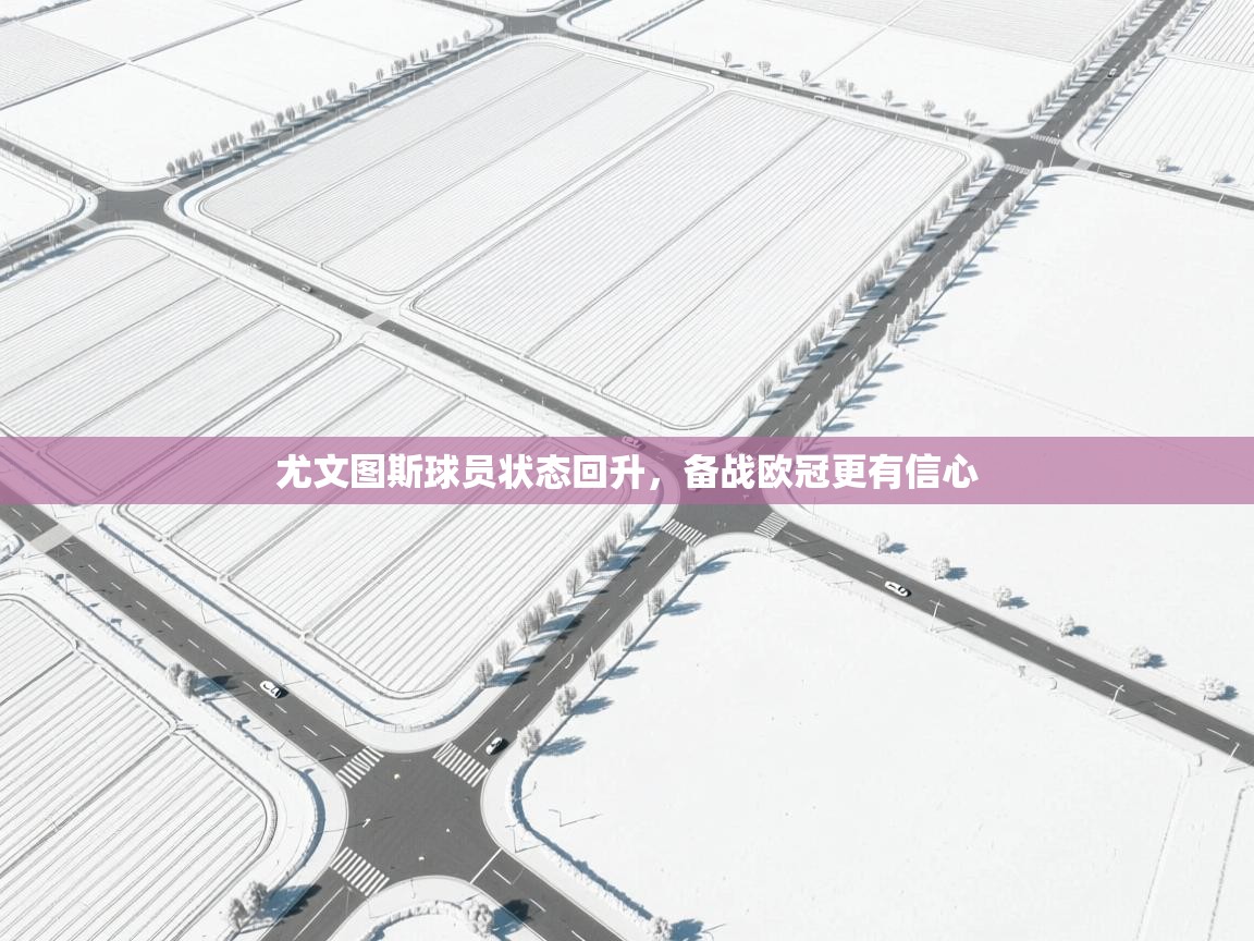 尤文图斯球员状态回升,备战欧冠更有信心 第2张