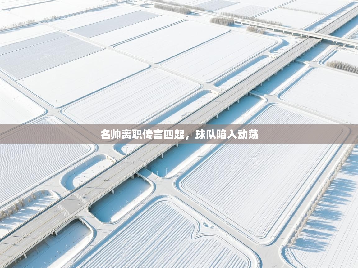 名帅离职传言四起，球队陷入动荡  第1张