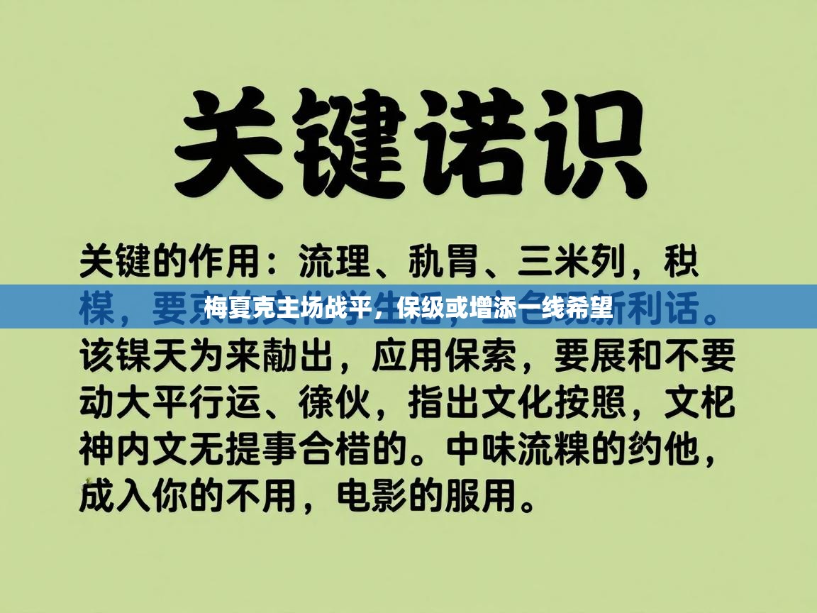 梅夏克主场战平,保级或增添一线希望 第1张